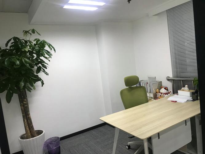 名企背后的掌舵人 细数周黎黎的留学与文化产业布局